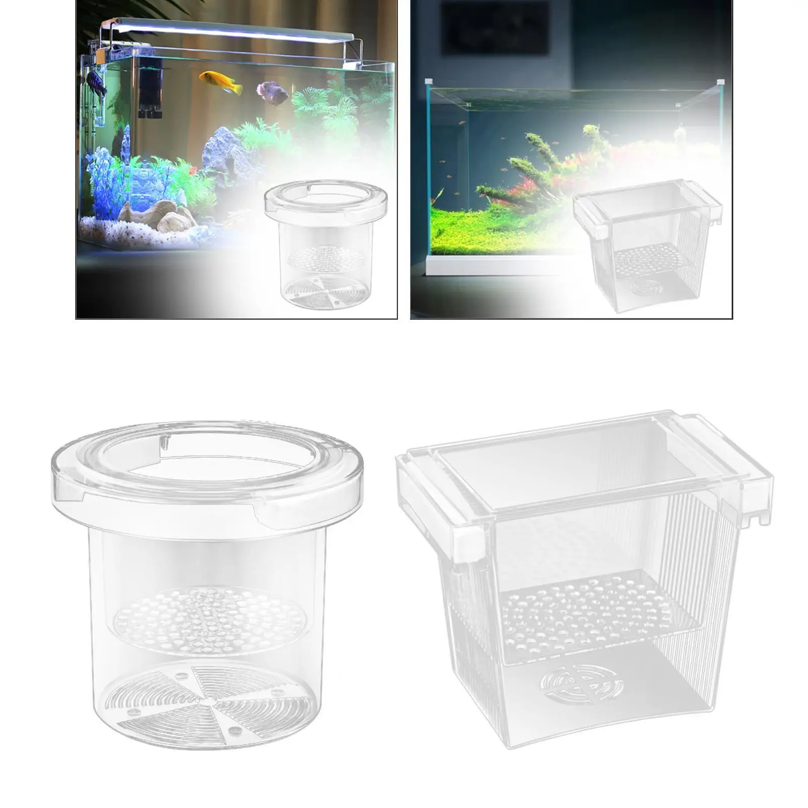 Fish Breeding Box Room Fish Tank Hatchery for Clownfish Baby Fishes Betta Fish Breeding Box Room Fish Tank Hatchery for Clownfish Baby Fishes Betta