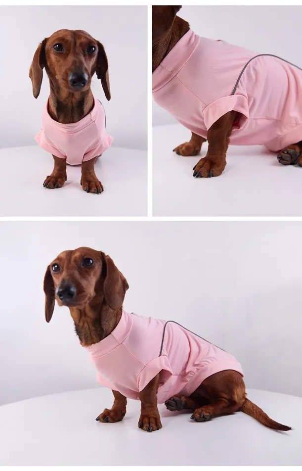Vista lateral de la camiseta elástica para perros