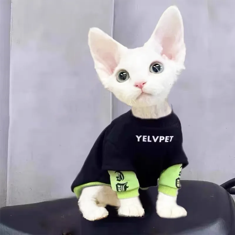 Sudaderas con capucha para perros pequeños, ropa cálida para perros, abrigo para perros con letras de moda, Schnauzer Ragdoll, gato azul, Chihuahua Otoño Invierno - imagen 5