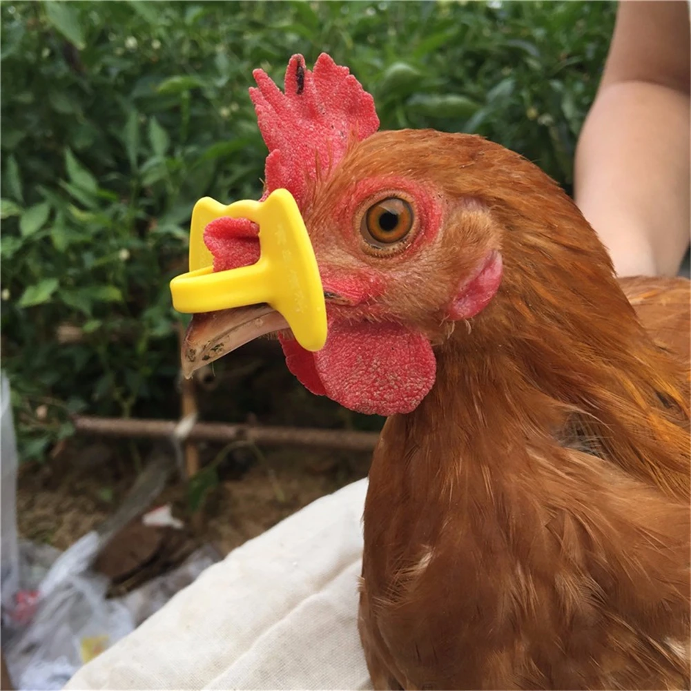 Gafas antivicadura para gallinas y pavos – Evita el picaje entre aves - imagen 3