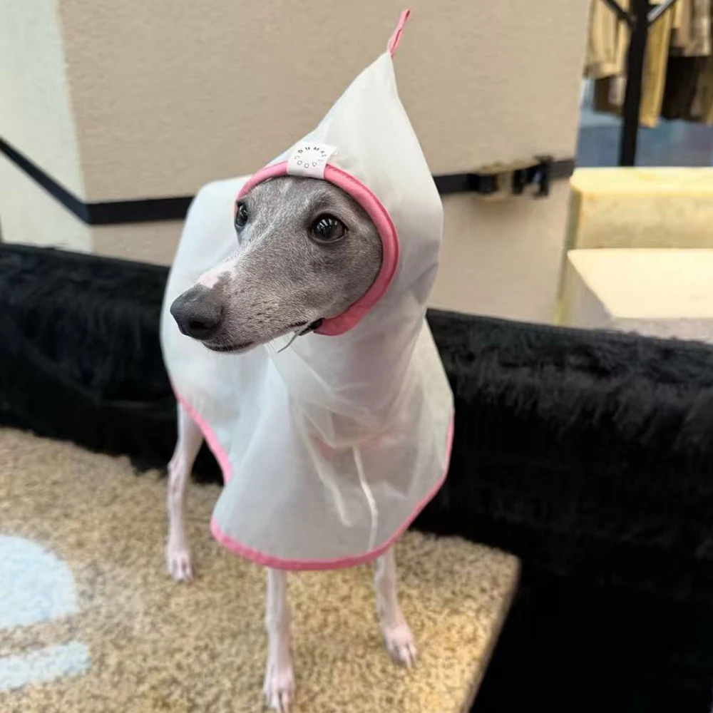 Chubasquero ligero transparente para mascotas, Ropa para perros pequeños, Chubasquero italiano para galgo, accesorios para perros, Ropa De Perro - imagen 2