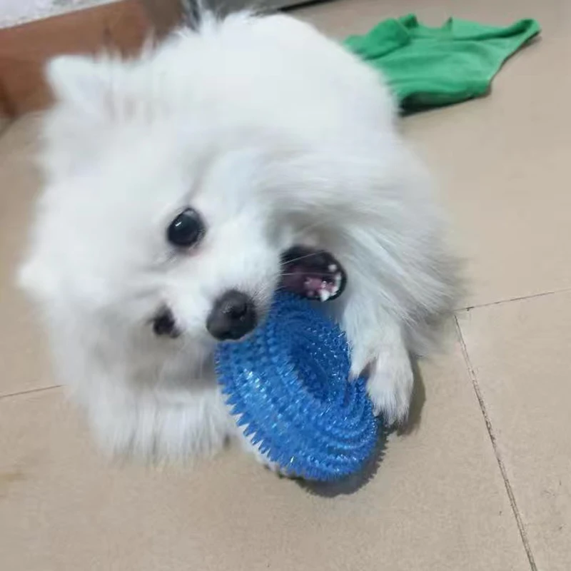 Donut fuerte TPR para mascotas, juguetes para masticar con chirridos para perros pequeños y medianos, Bulldog Francés, Corgi, Pastor, frontera, cachorro, accesorios para mascotas - imagen 4