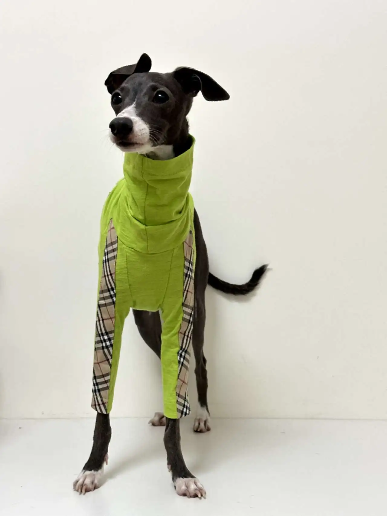 Camiseta de algodón de galgo a la moda, chaleco transpirable de dibujos animados para perros verdes, jersey para mascotas para perros pequeños, medianos y grandes, otoño y primavera - imagen 3