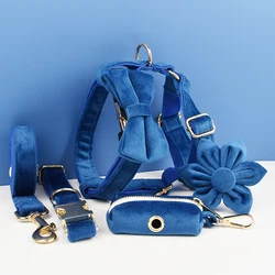 Set collar y correa terciopelo azul para perro con placa grabada