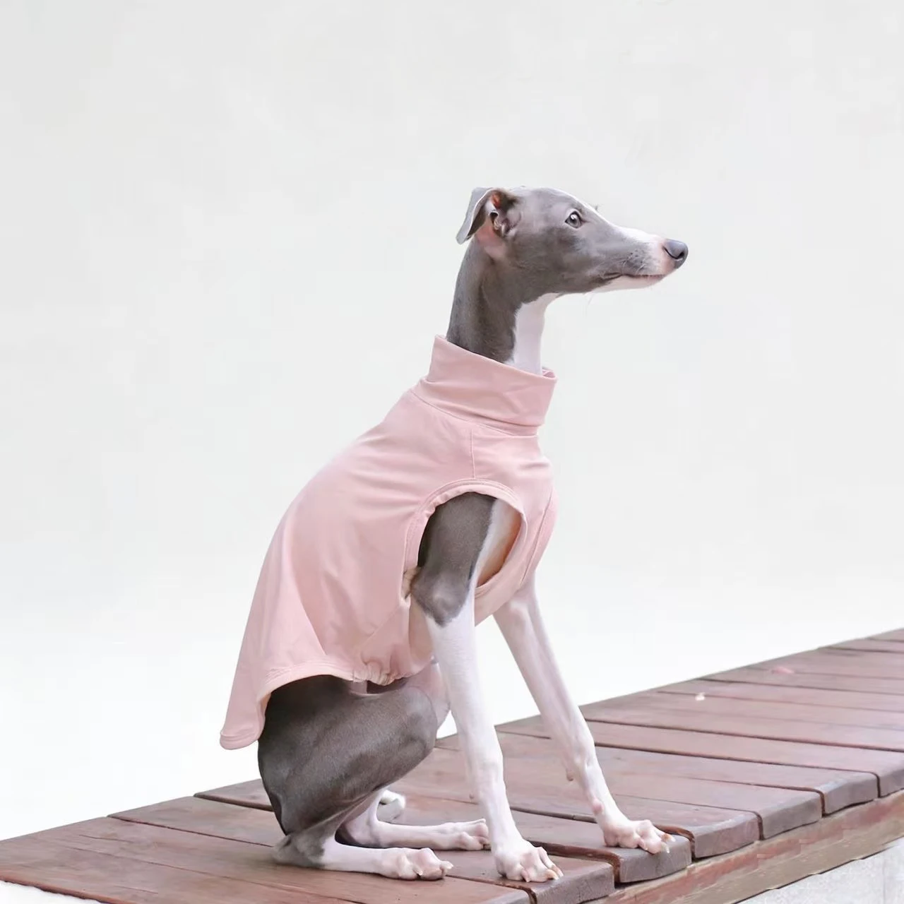 Chaleco rosa veraniego Galgo Italiano Whippet – Fresco perros pequeños - imagen 5
