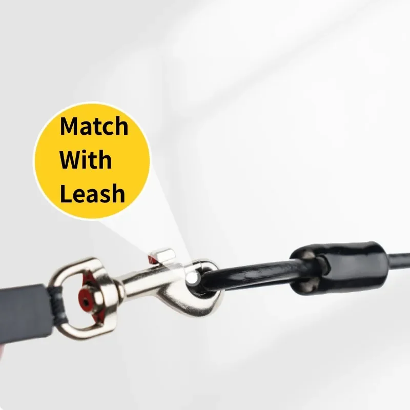 Correa para perro, correas extensibles de 45cm, correas antimordeduras para perros, correa de cuerda de alambre de acero inoxidable para perros que caminan, cadena para perros, accesorios para mascotas - imagen 4