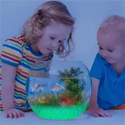 Piedras luminosas para acuarios y peceras – Decoración que brilla en la oscuridad