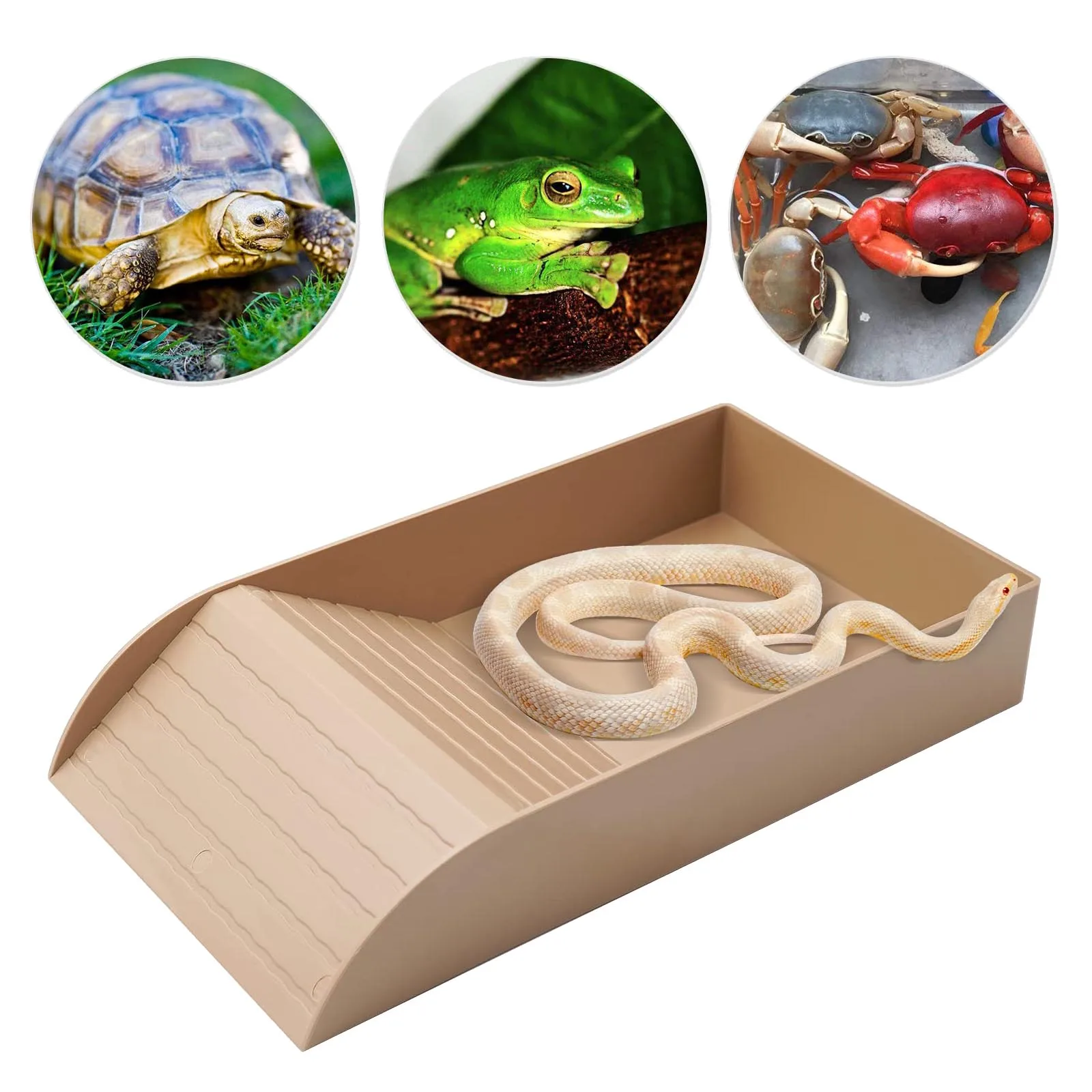 Cuenco de agua para reptiles, plato de alimentación para Tortuga, piscina de baño para leopardo, Gecko, dragón barbudo, accesorios para anfibios