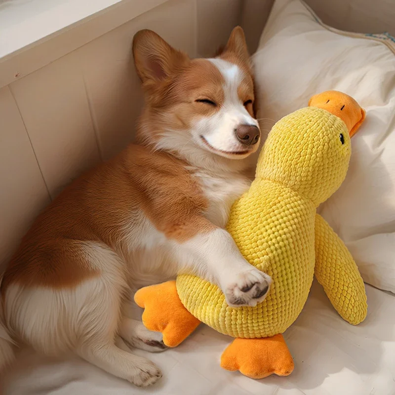 Juguete para perros con forma de pato chirriante de felpa suave y resistente a mordeduras, juguete interactivo suave para masticar para razas medianas a pequeñas - imagen 4