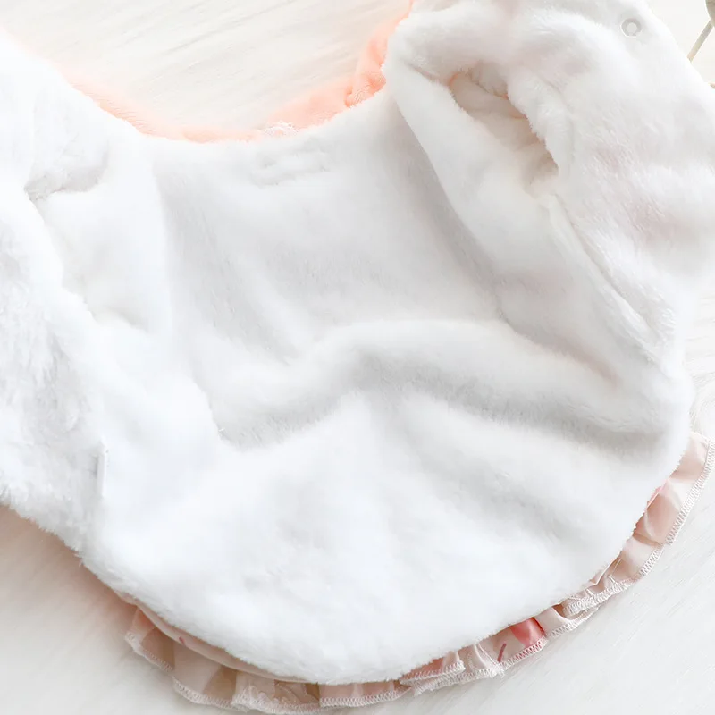 Ropa para perros Otoño e Invierno vestido de princesa para gatos polar grueso dulce Lolita suministros para mascotas para perros pequeños - imagen 4