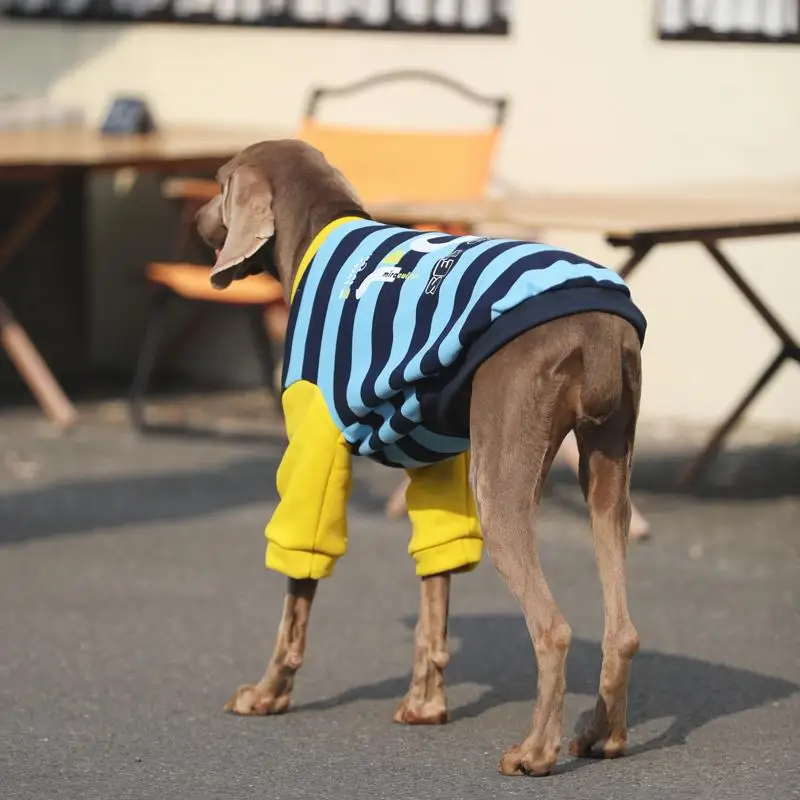 Ropa para perros de primavera y otoño para perros grandes, sudaderas con capucha para perros grandes con gafas, abrigo suave de algodón para Labrador Golden Retriever - imagen 2