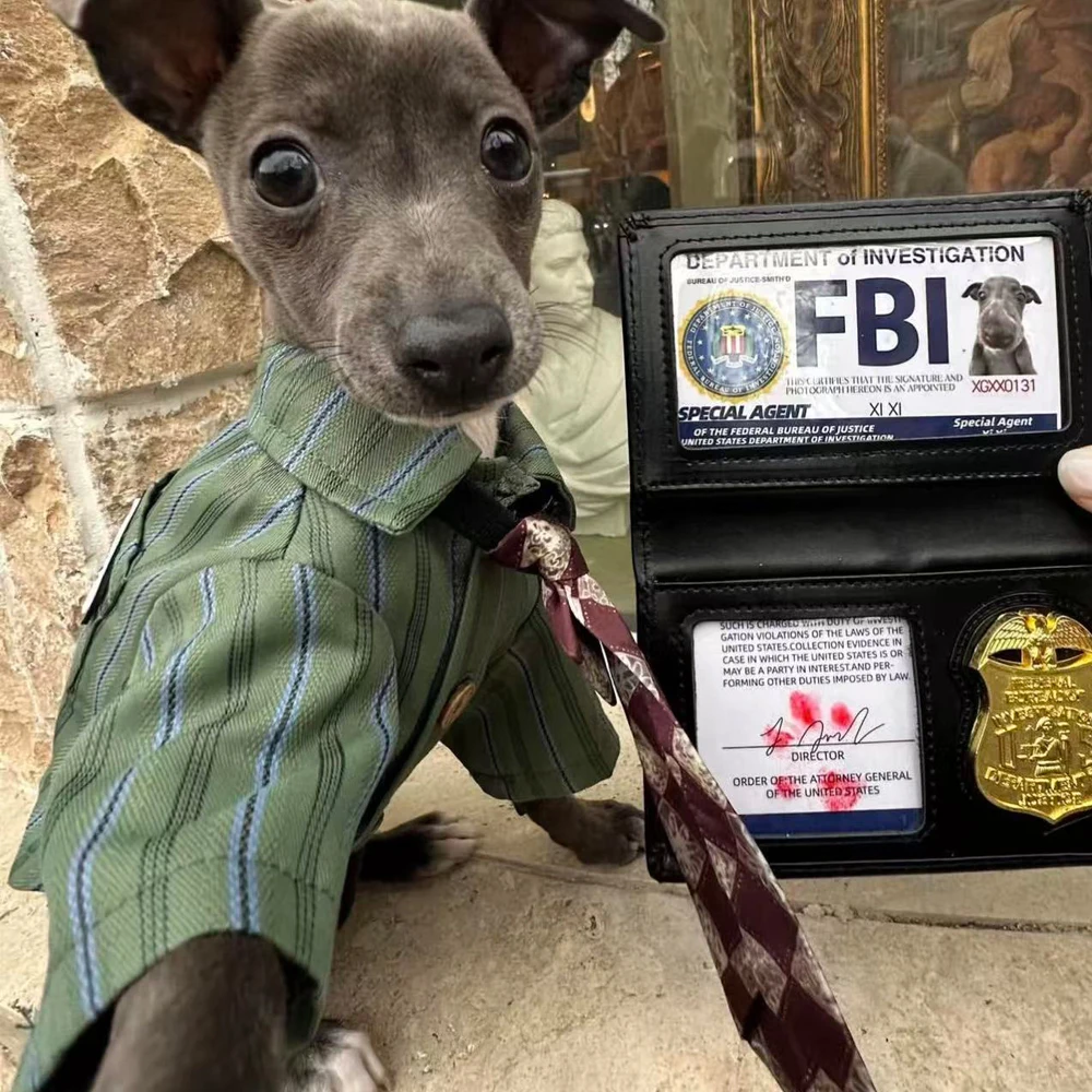 Camiseta de algodón con lazo para perros pequeños - Galgo italiano