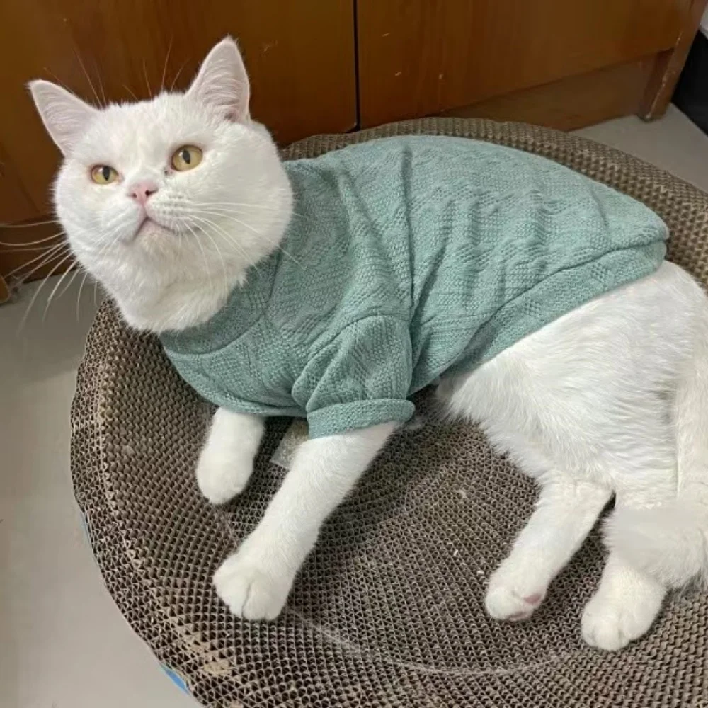 Primavera Invierno Sphynx ropa para gatos cálido suéter tejido para mascotas para gatos Gotas jerseys para perros mascotas ropa disfraz katten kleding - imagen 3