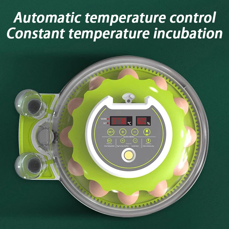 Incubadora automática para huevos de pollo con control de temperatura - imagen 2