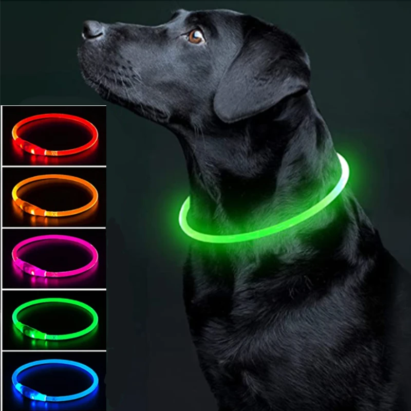 Collar seguridad nocturna - Detalle LED brillante