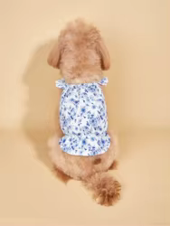 Vestido azul y blanco con estampado de princesa para perros pequeños