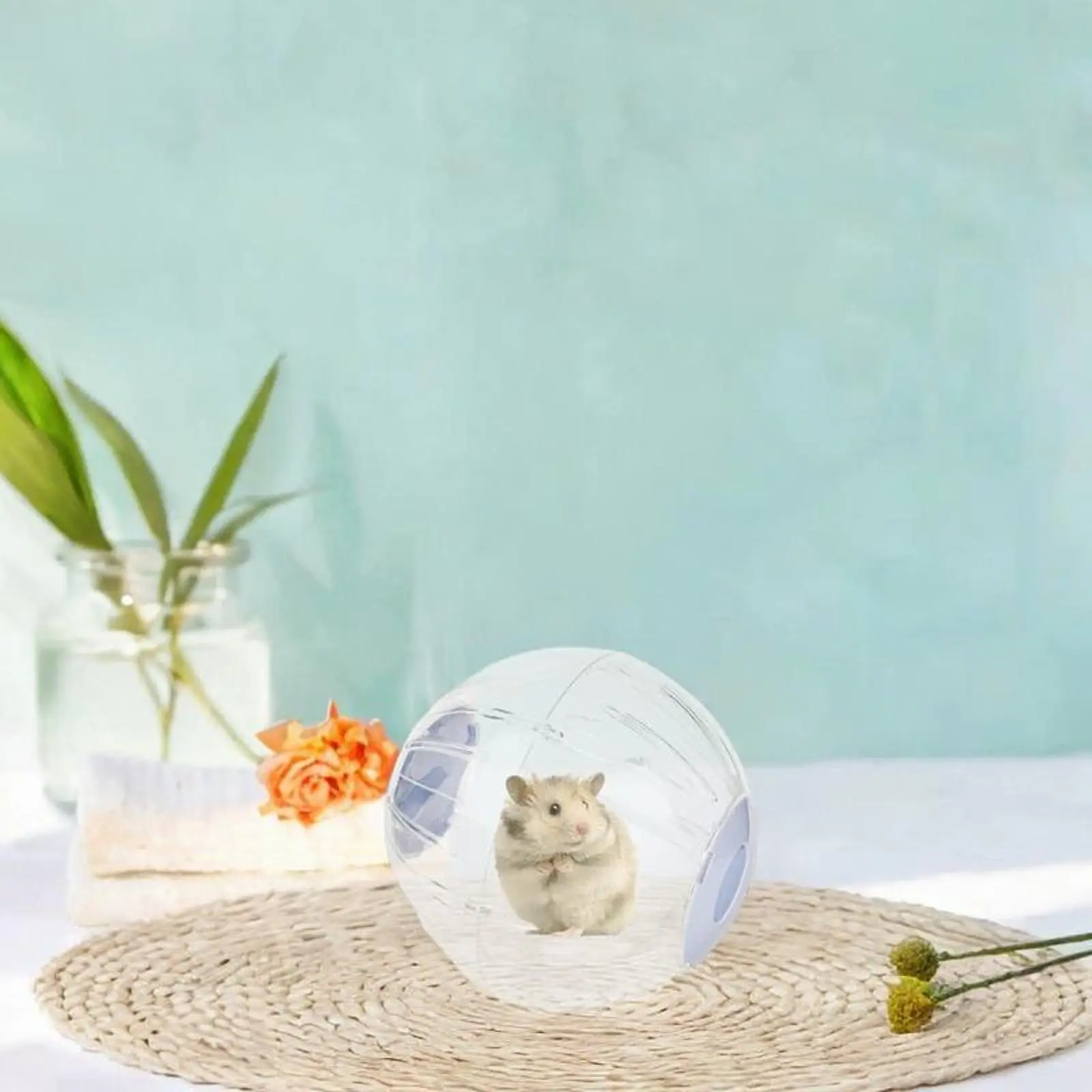Hamster Ball Sports Ball, Breathable, Fun, Silent, Clear Running Wheel Cage Accessories for Hamsters Mice