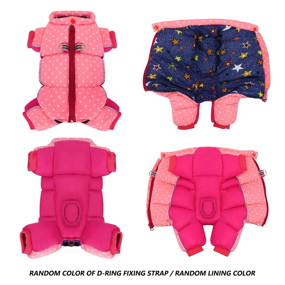 Chaqueta cálida de invierno para perros pequeños y medianos, mono con estampado de lunares para cachorros, abrigo reflectante para mascotas, Chihuahua, Bulldog, con anillo en D - imagen 4