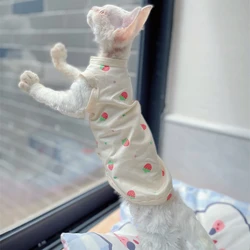 Camiseta fresas para gato Sphynx y Devon Rex, ropa algodón verano