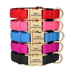 Collar perro placa ID nailon impermeable Chihuahua Pug personalizado