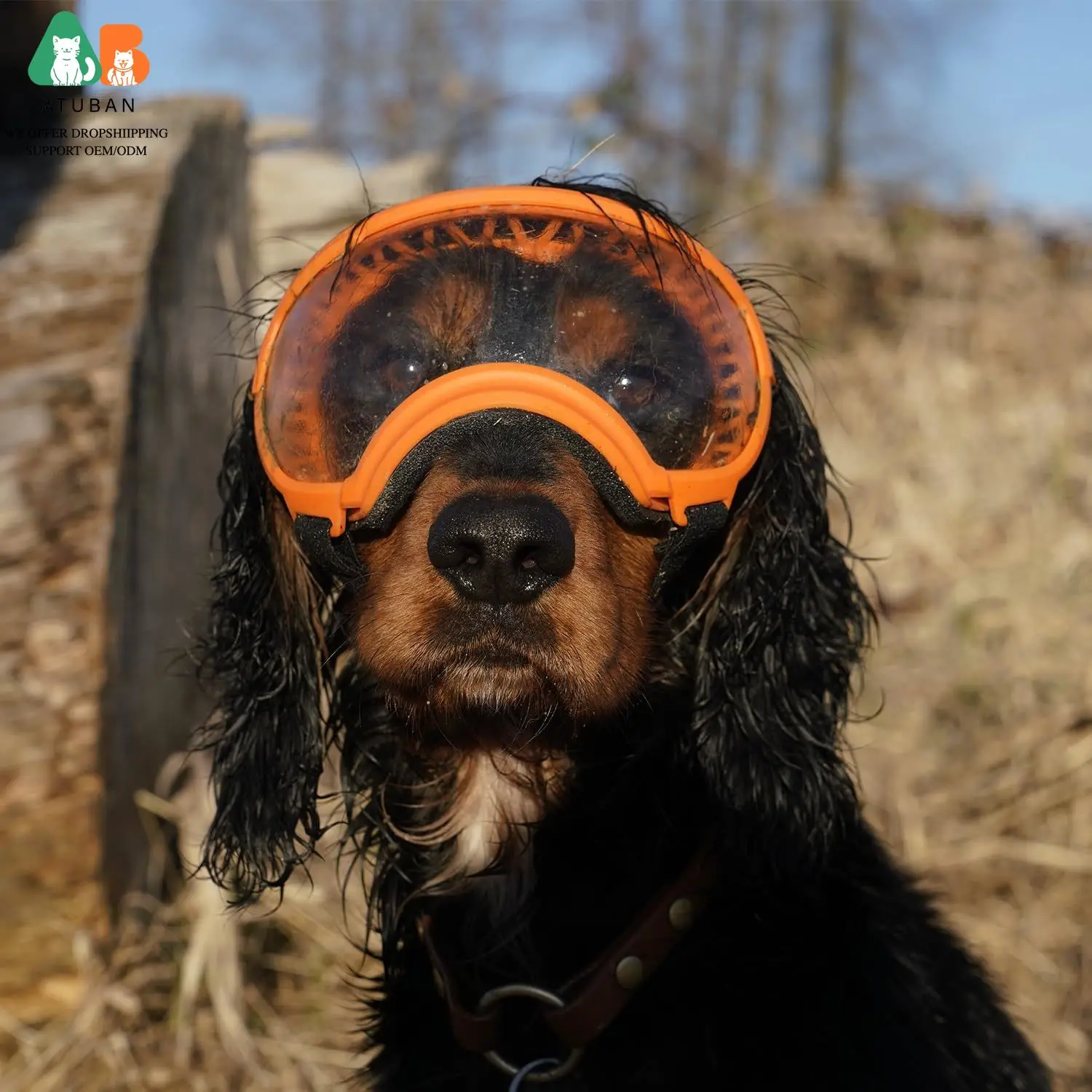 Gafas para perros Gafas de sol para perros Gafas de esquí para perros con protección UV Gafas de sol para mascotas con correa ajustable para viajes - imagen 4