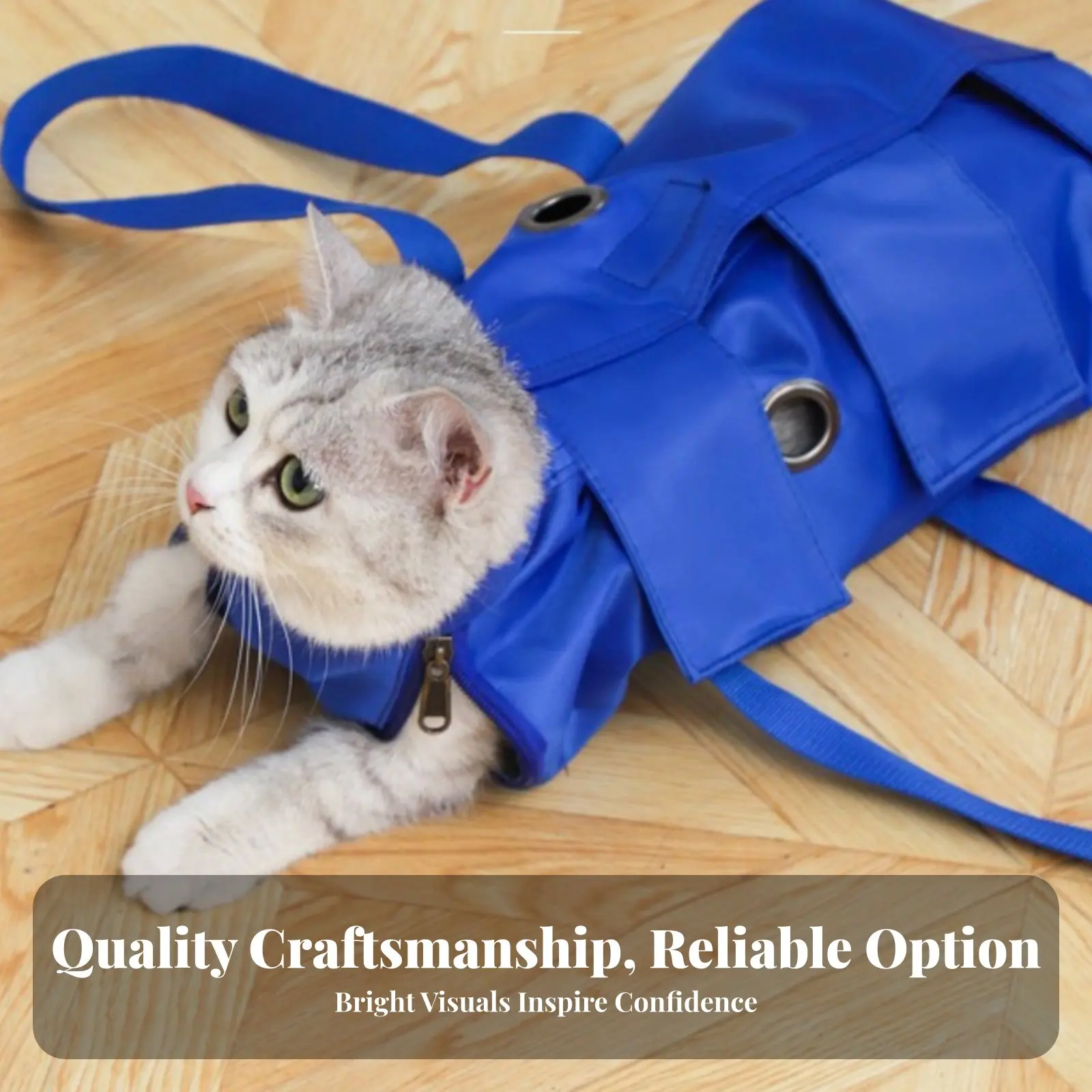 Bolsa transportín para gatos de consulta veterinaria y medicación - imagen 2