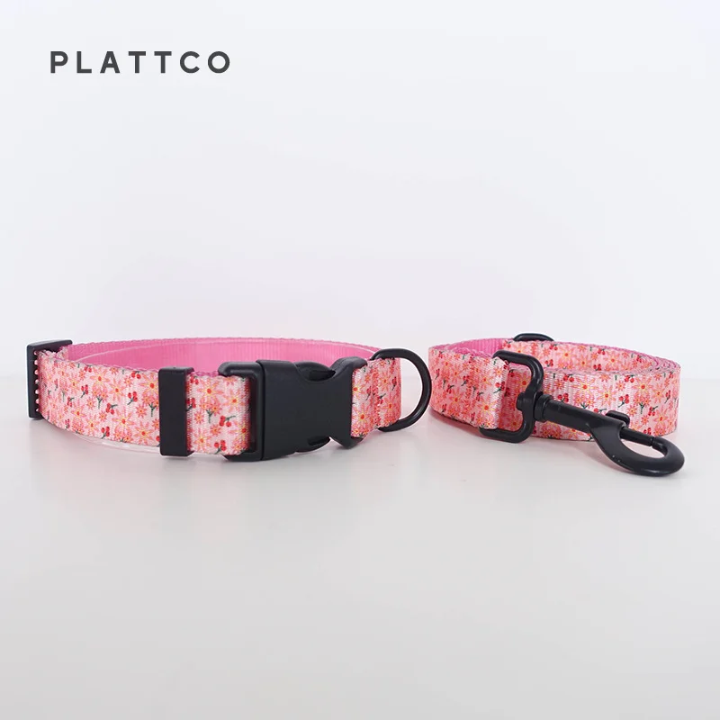 Dog Collar Leash Set