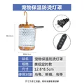 US timing switch