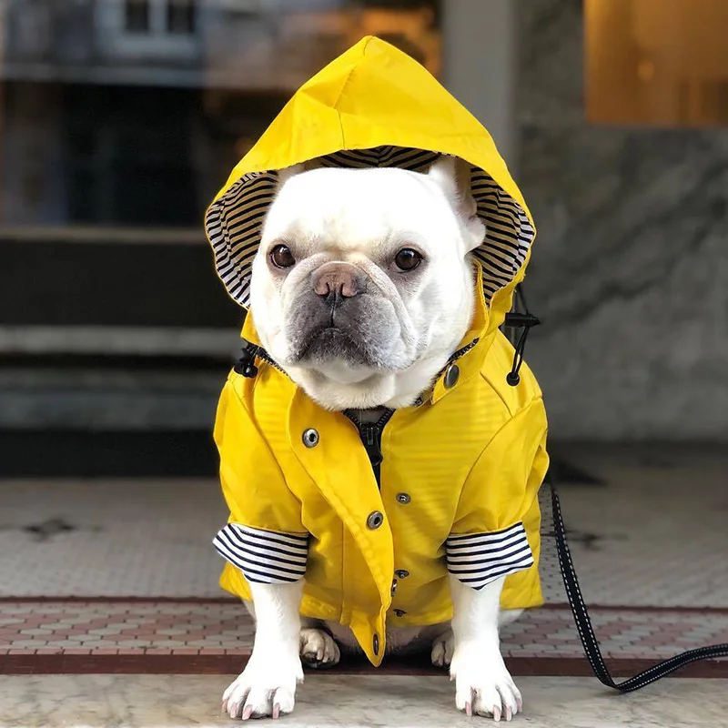 Chaqueta impermeable para mascotas, abrigo cálido de invierno, impermeable, reflectante, para perros pequeños, medianos y grandes - imagen 2