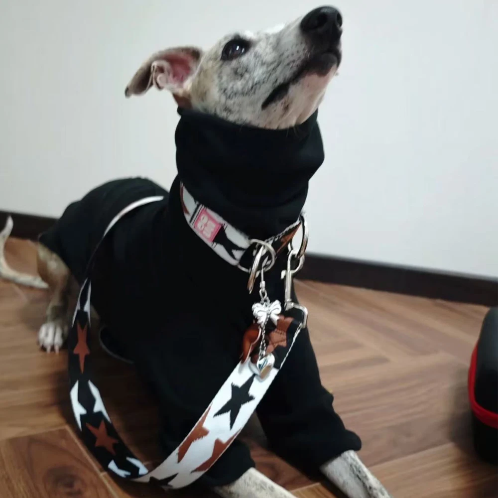 Camiseta interior suave y transpirable para Whippet, abrigo de 2 patas para pijama negro de cuello alto de galgo italiano para perros pequeños y medianos - imagen 4