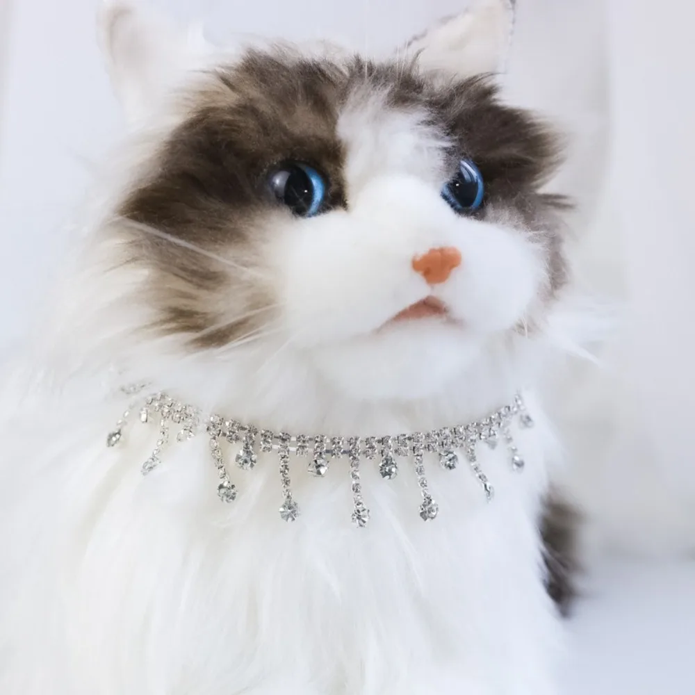 Collar regulable para perros y gatos con piedras brillantes y cierre