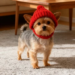Gorro de punto para perro maltés – Protege orejas del frío en invierno