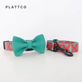 Bow Tie Collar Leash