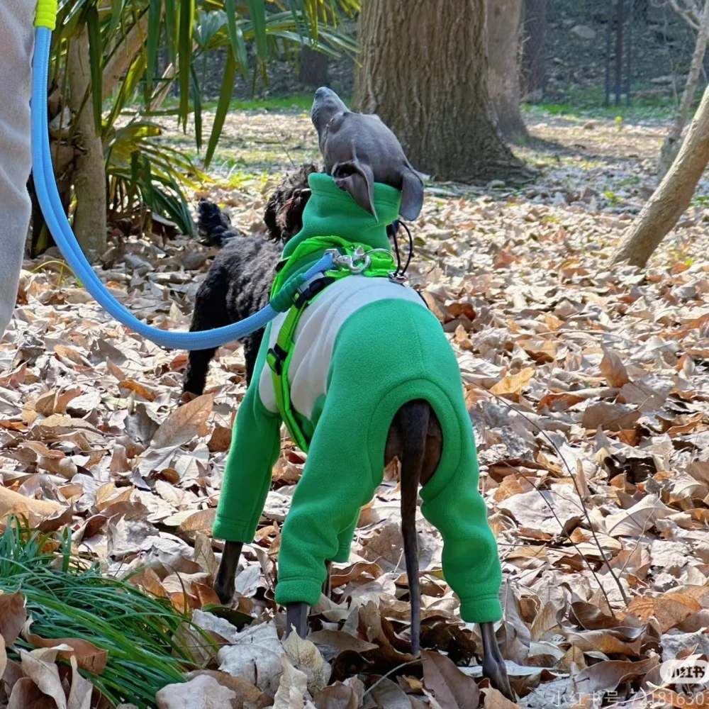 Italia galgo cálido verde 4 patas de cuello alto sudadera chaqueta de invierno abrigo para caniche Teddy otoño ropa de descanso suave para perros medianos - imagen 4