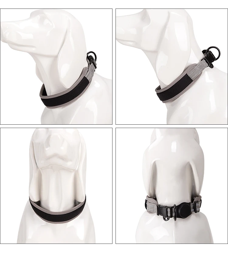 Un perro blanco con cuello negro y correa