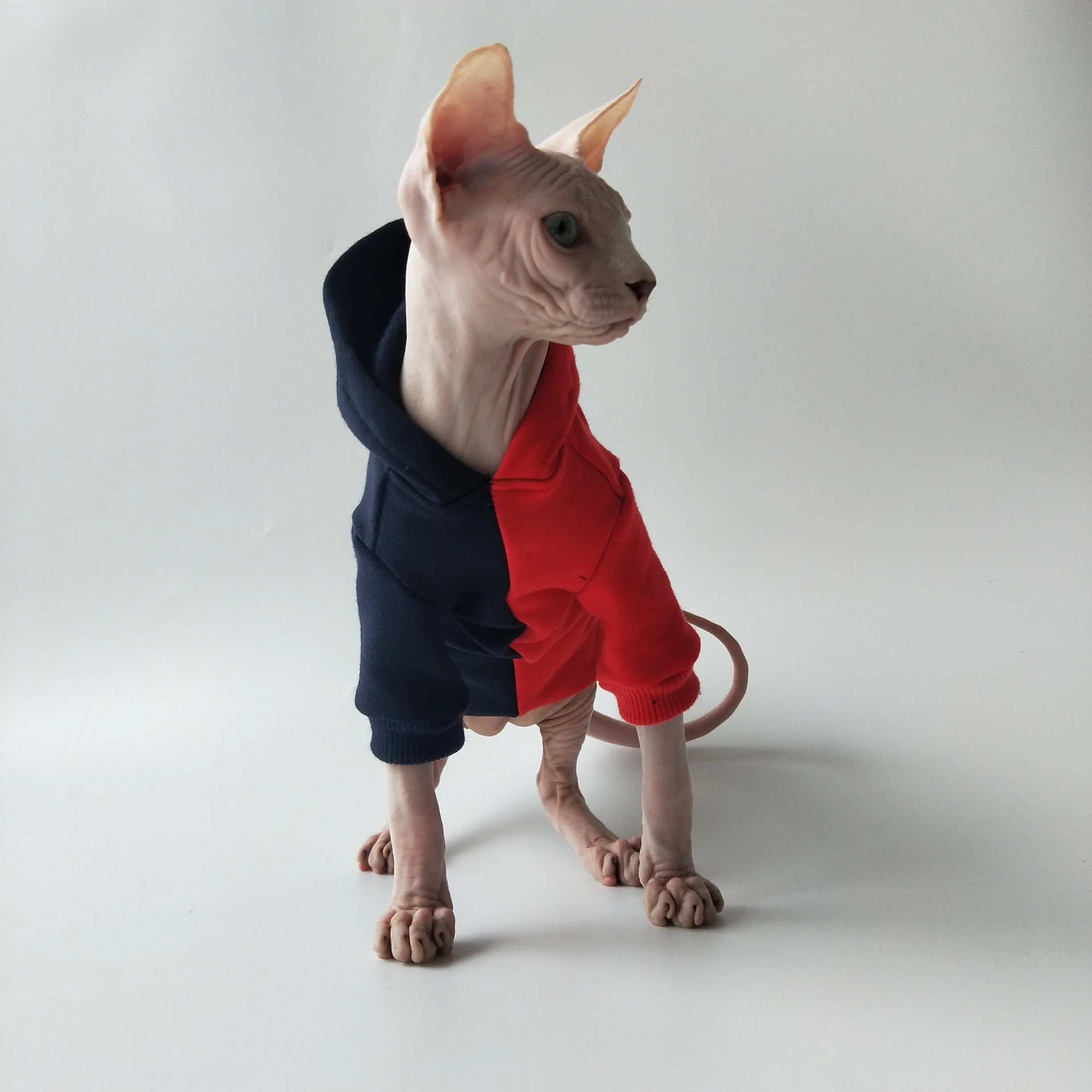 Detalle de la sudadera para gato