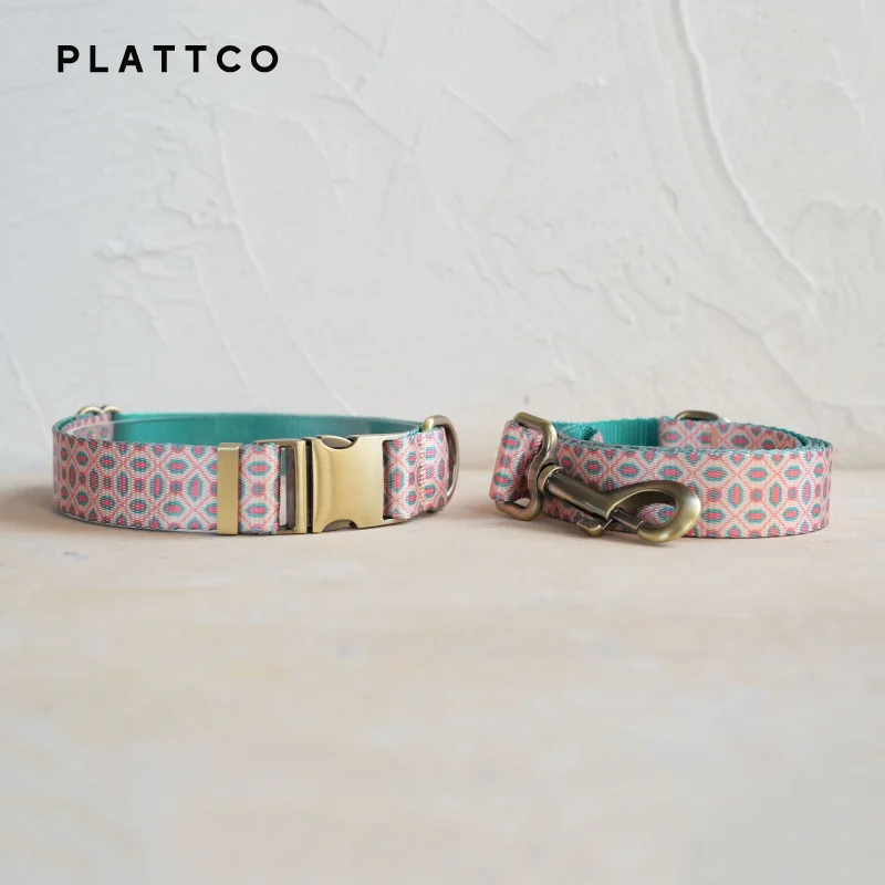 Dog Collar Leash Set