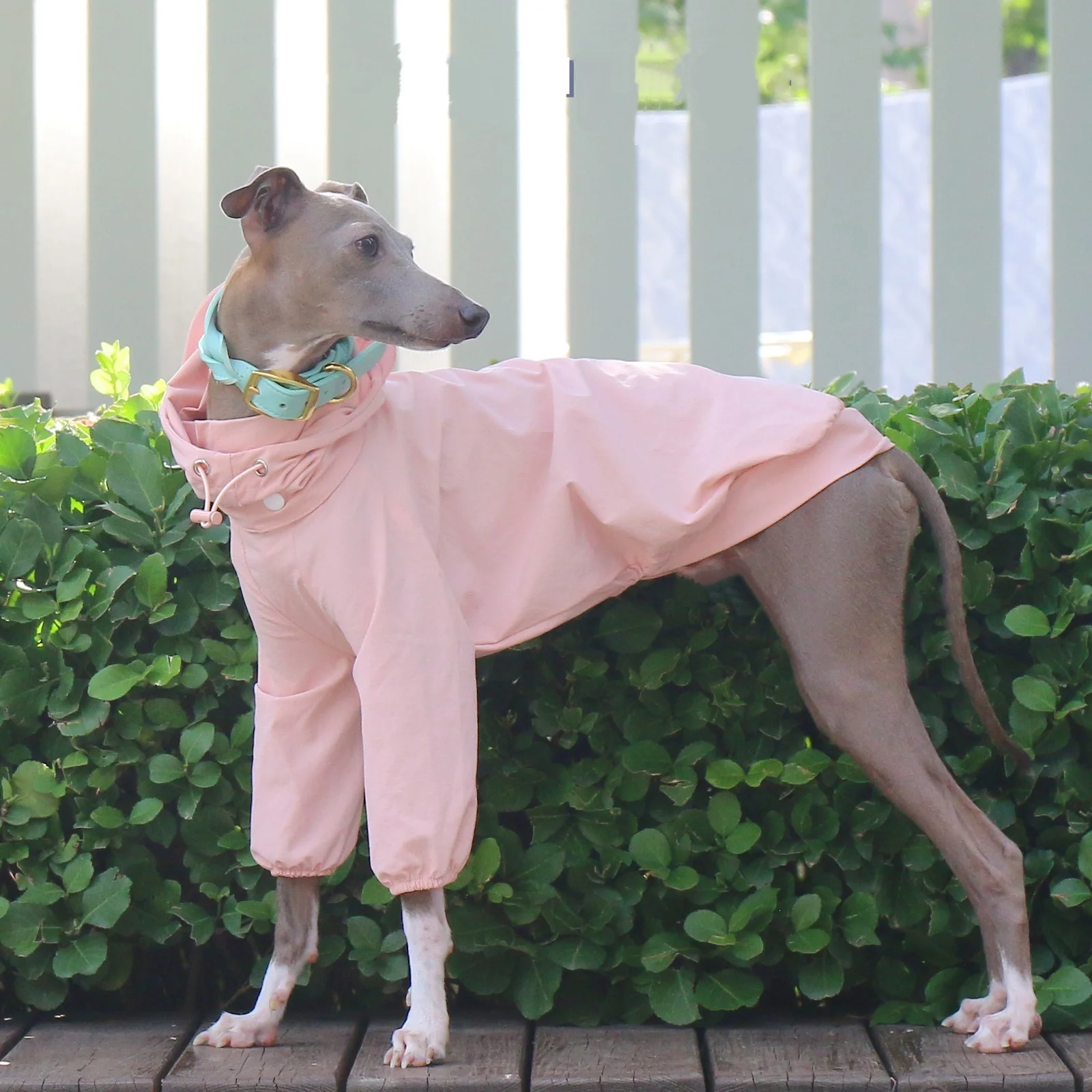 Ropa para perros para exteriores, impermeable con capucha de protección solar gris de verano para galgo italiano, abrigo elástico rosa para Whippet en pring - imagen 2