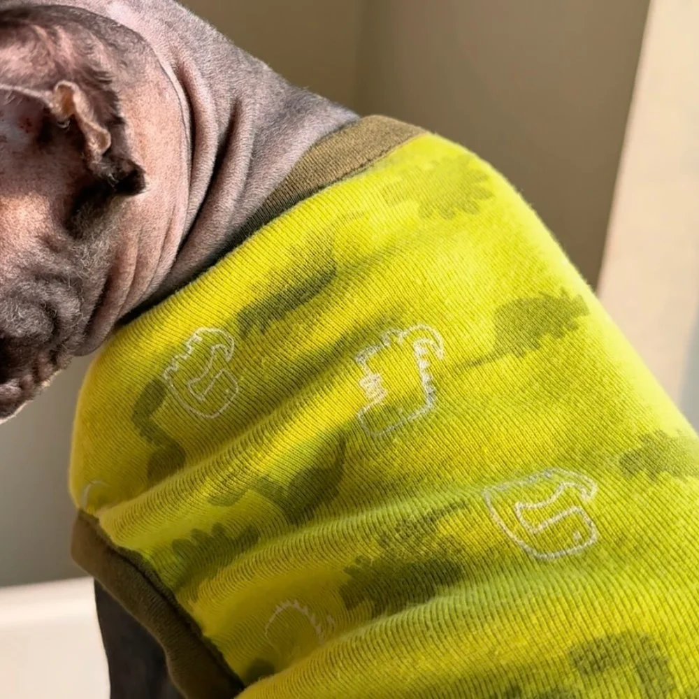 Chaleco de algodón para Sphynx y Devon Rex con diseño dinosaurio - imagen 2
