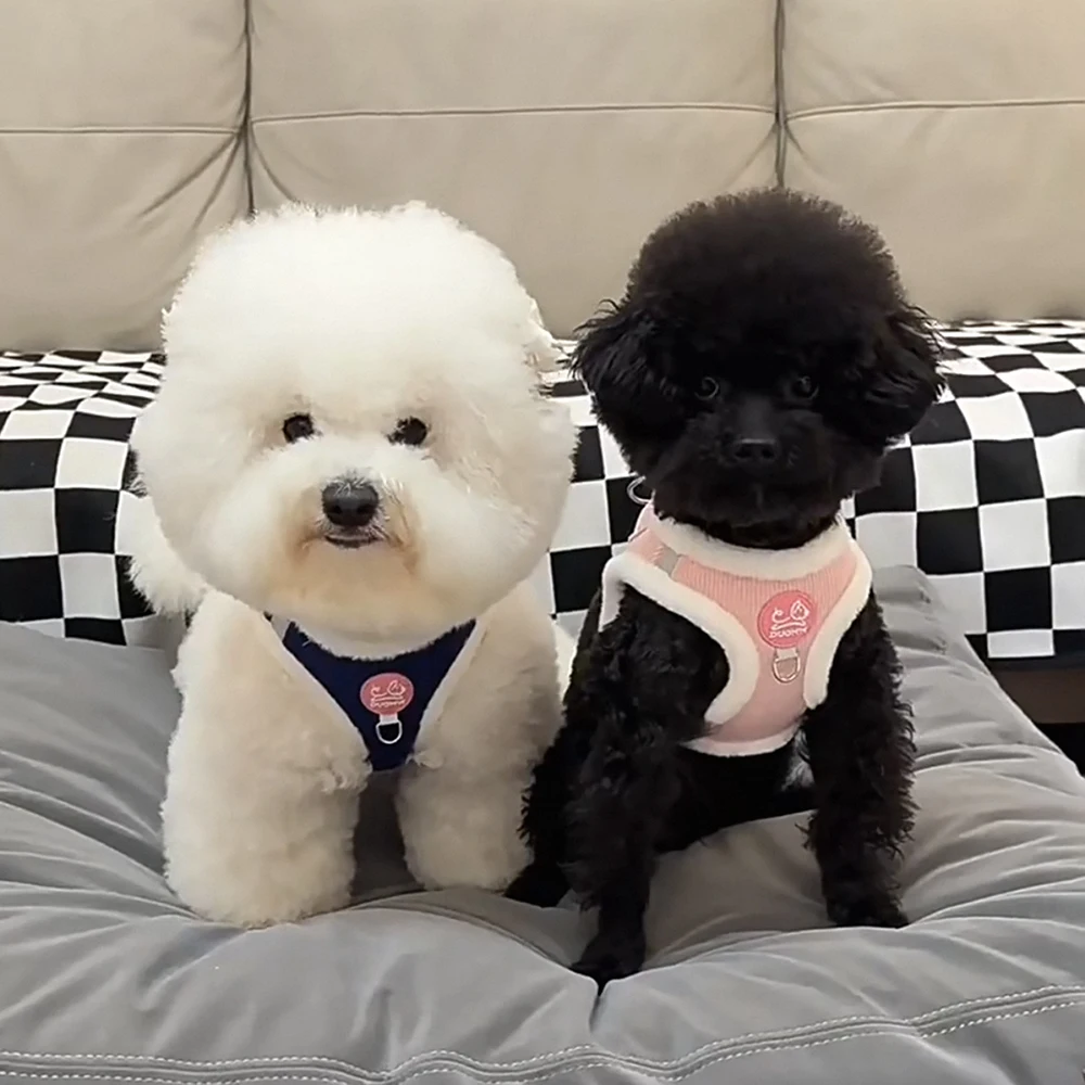 Arnés cálido para perros Chihuahua con piel para caminar, juego de correas y correas para perros pequeños, accesorios para mascotas, cachorros, Yorkies, invierno - imagen 2