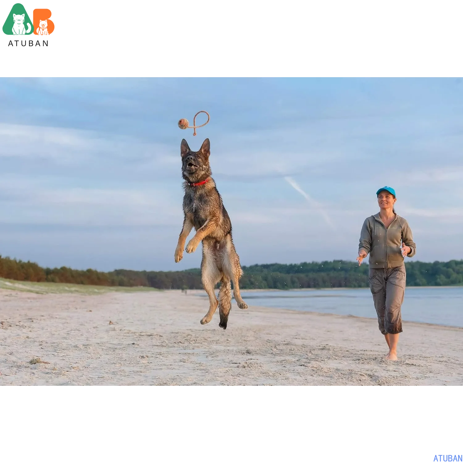 ATUBAN Bola de caucho natural duradera en una cuerda: entrenamiento perfecto para perros, juguete para perros de tamaño mediano para buscar, atrapar, lanzar y remolques de guerra