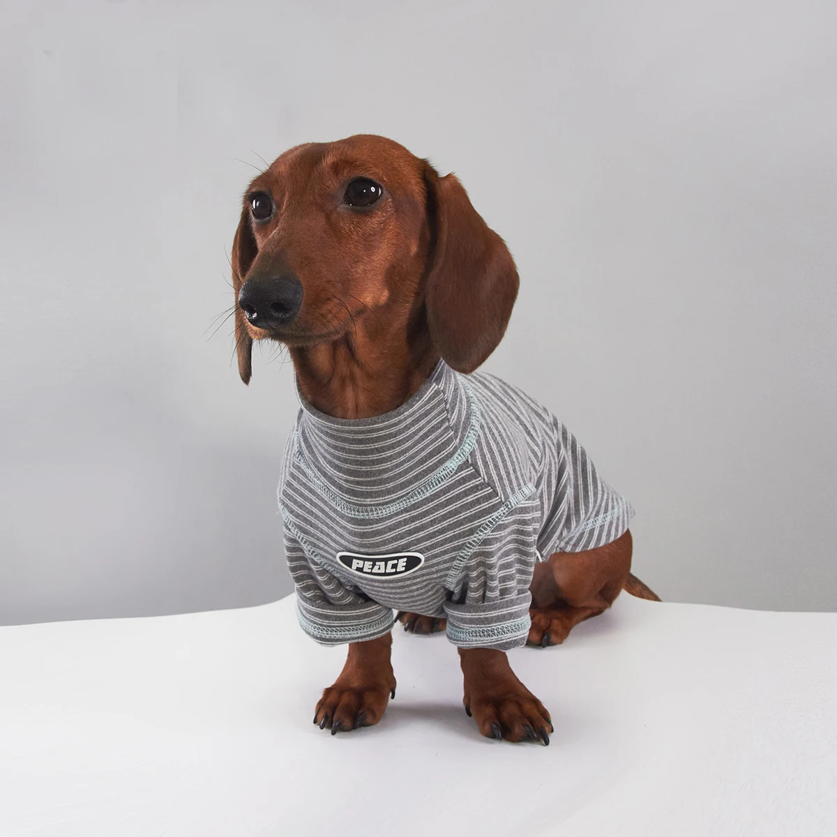 Pijama rayado de cuello alto para perro salchicha – Ropa térmica pequeña - imagen 4