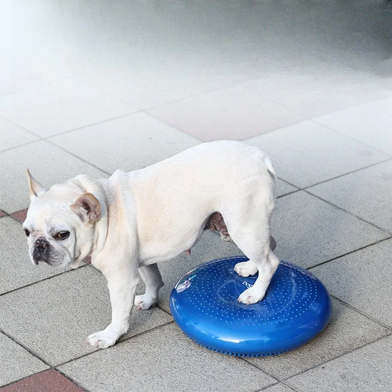 Cojín de masaje para mascotas, placa de equilibrio acolchada para perros, pelota de Yoga creativa, entrenamiento de rehabilitación, suministros para mascotas, productos, accesorios de juguetes - imagen 5