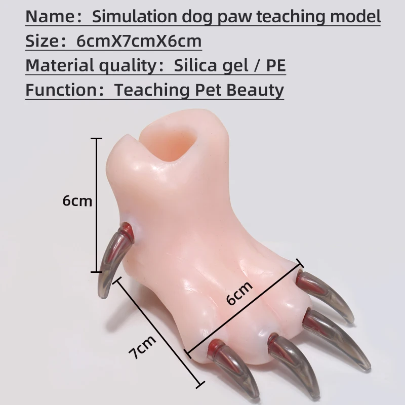 Modelo de enseñanza de pata de perro de simulación de silicona, enseñanza escolar de belleza para mascotas, esteticistas de mascotas junior que practican cortar uñas de perro - imagen 3