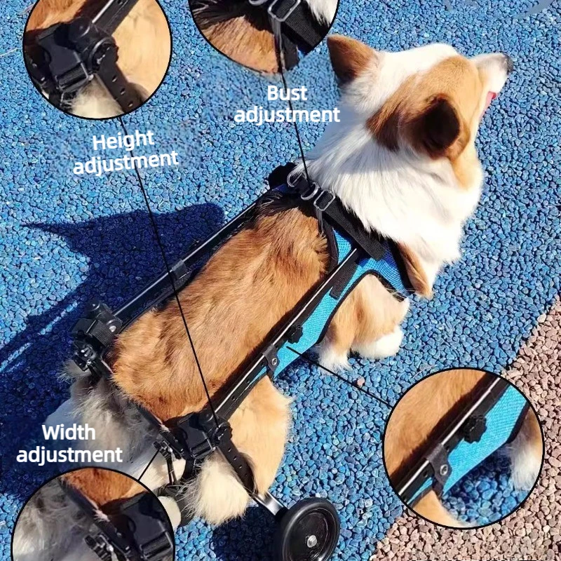 Carrito ortopédico de movilidad para perros y gatos con parálisis - imagen 2