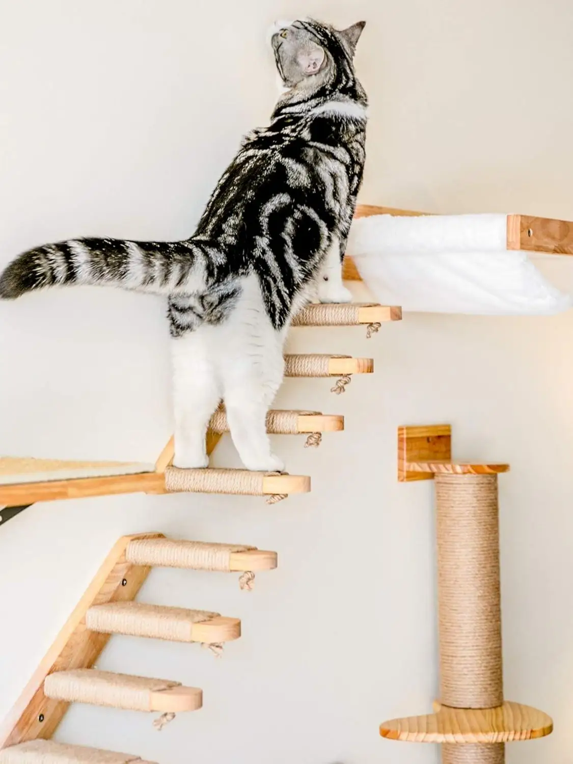 Arbol para gatos con rascador y zonas de descanso seguras y comodas - imagen 4