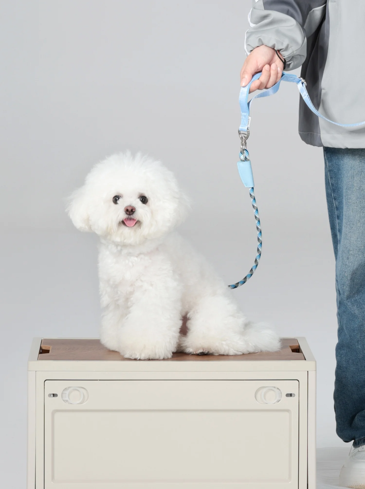 Correa P de lujo para mascotas con bolsa de almacenamiento, collar para perros con correa, correa de entrenamiento para mascotas, correa para caminar ajustable para mascotas sin tirones azul - imagen 4