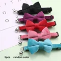 5pcs random color