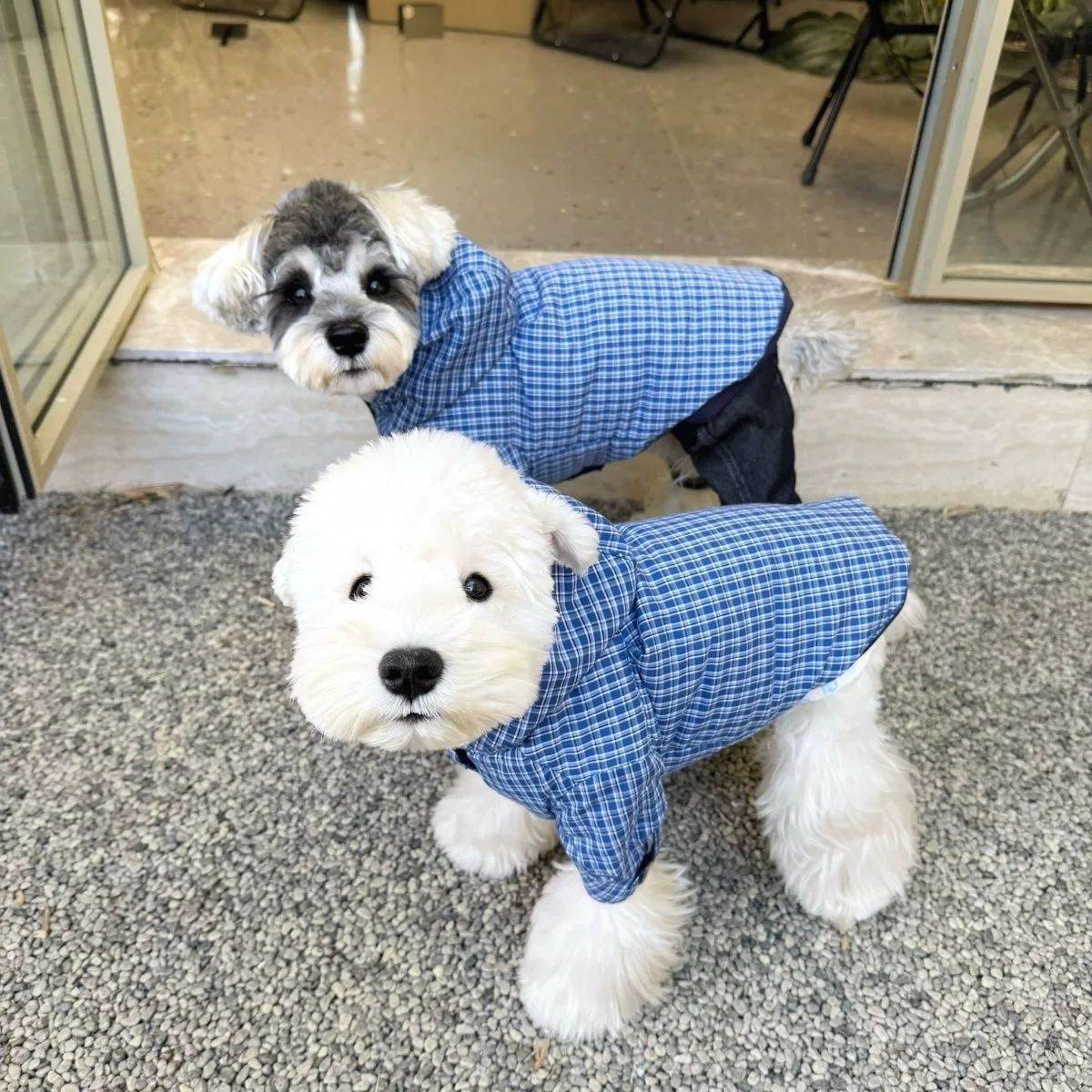 Chaqueta con capucha a cuadros para mascotas, Parkas cálidas de doble cara para perros, chaqueta de peluche Schnauzer, ropa para cachorros, perros pequeños, otoño e invierno - imagen 4