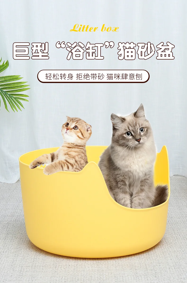 hmqViviiyNSAyin8WueWtyomhSyMhckJShfX